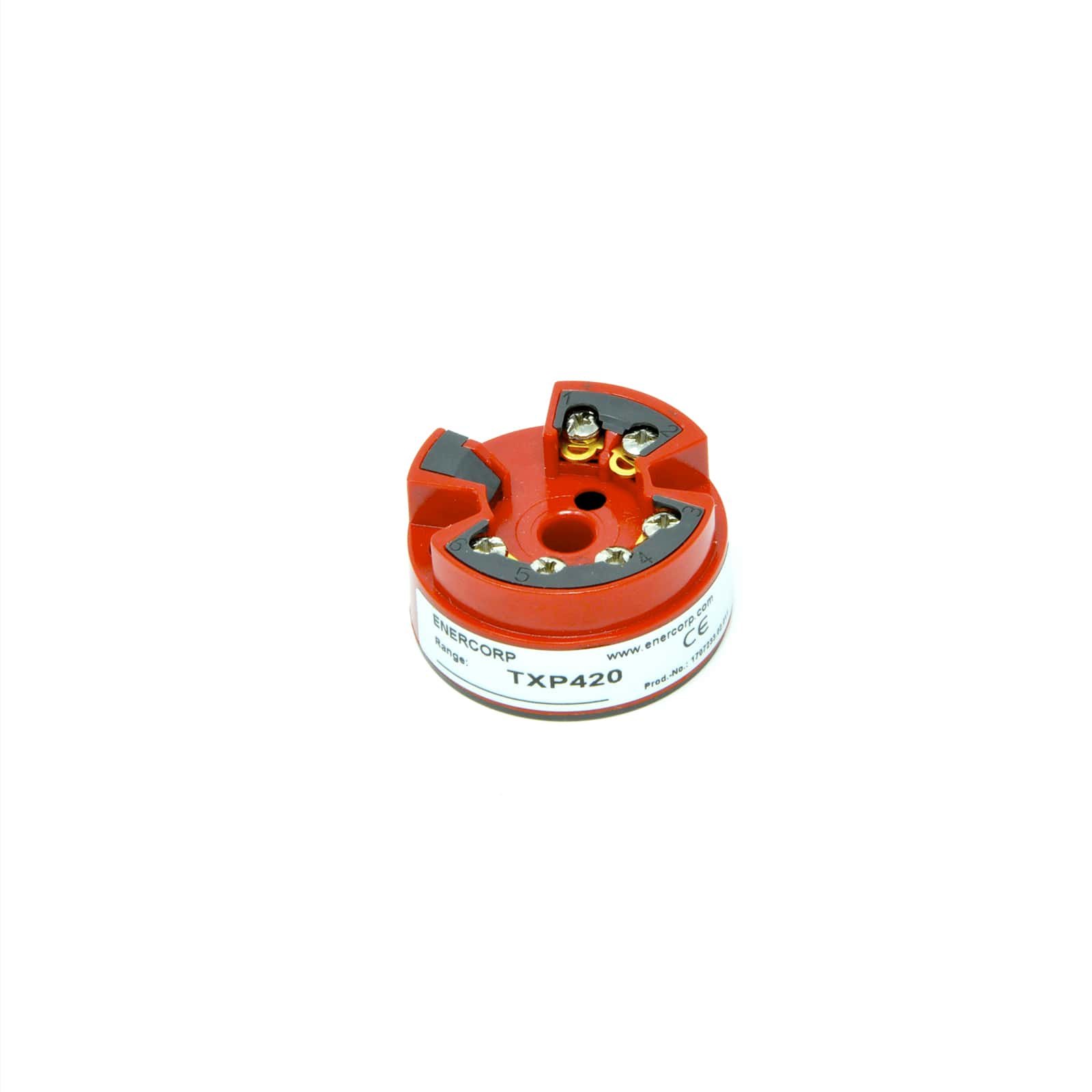 数字 温度变送器 TXP420